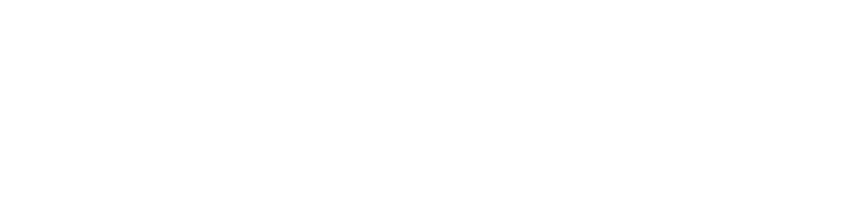 Zivoracreation